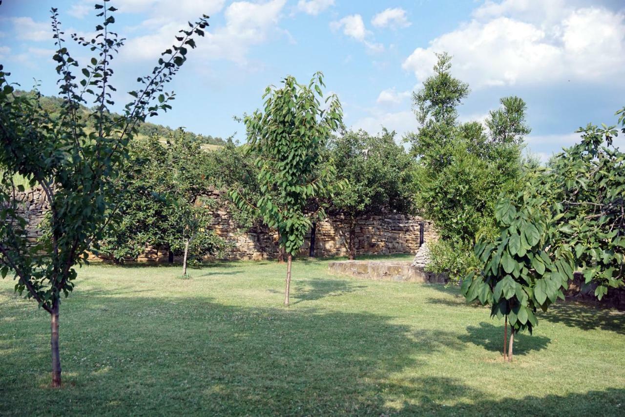Tourist Farm With Apartments Fig Tree Dekani エクステリア 写真