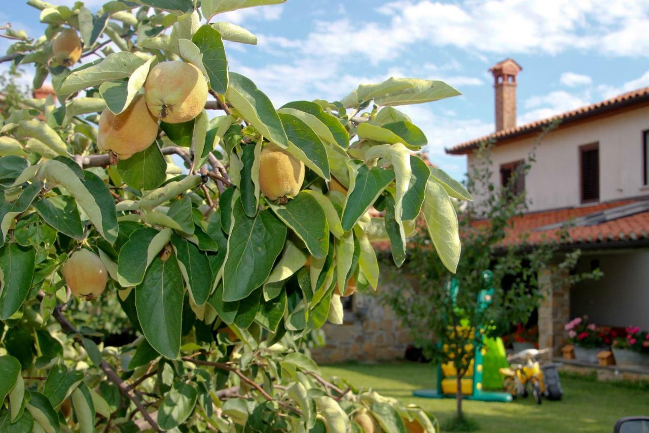 Tourist Farm With Apartments Fig Tree Dekani エクステリア 写真