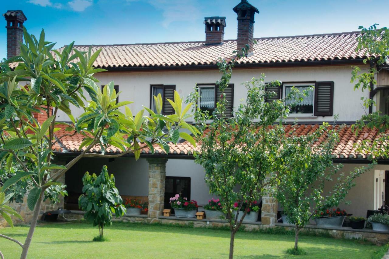 Tourist Farm With Apartments Fig Tree Dekani エクステリア 写真